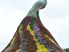 -七彩云南欢乐世界