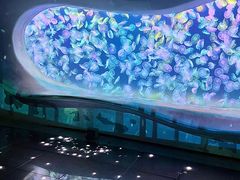 -海合安天津极地海洋公园