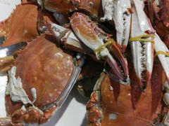 -四海鲜渔家菜(黄金海岸店)