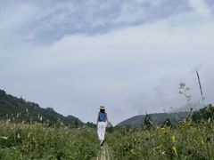 -白草畔自然风景区