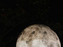-恬阿姨庭院餐厅·生日宴