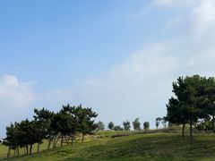-小麦岛公园