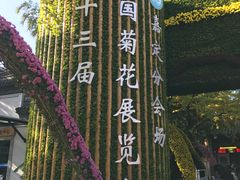 -汇龙潭