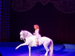 -珠海横琴长隆《卡卡虎奇遇记》