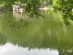 -深圳国际园林花卉博览园