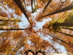 -东湖落雁景区