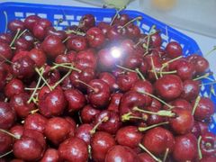 -悠然湯·汗蒸汤泉会馆