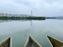 -济南国际园博园