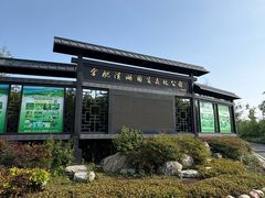 -合肥滨湖国家森林公园