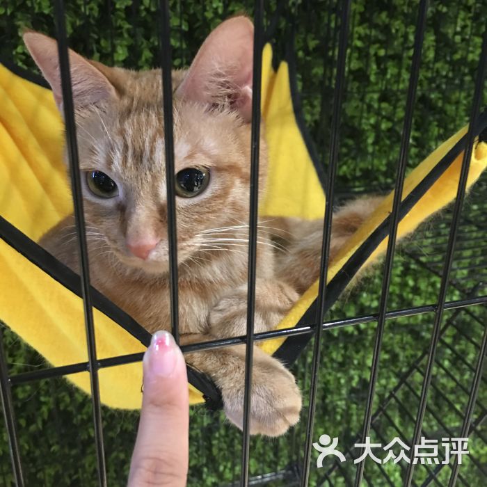 弱鸡网咖-图片-宁波休闲娱乐-大众点评网