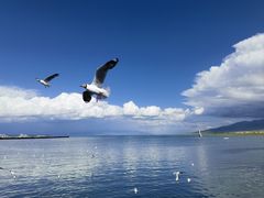 -青海湖二郎剑景区