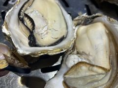 -77号渔船·蒸海鲜青岛菜(积米崖店)