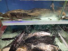 -盒马鲜生(财富中心店)