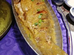 黄焖大鲤鱼-95号酱骨·一块豆腐(展春园西路店)