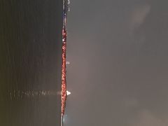 -金鸡湖景区