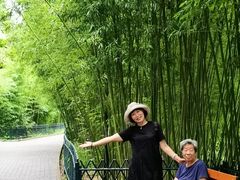 -皇家御河游(紫御湾码头)