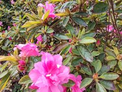 -常熟路(地铁站)