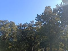 -北京市劳动人民文化宫(太庙)