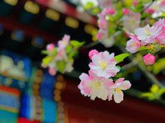 -安定门(地铁站)