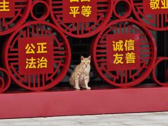 -珠海市博物馆