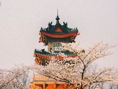 -鸡鸣寺