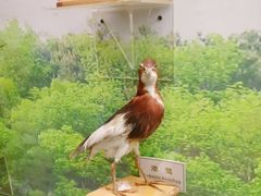 -下渚湖国家湿地公园科普馆