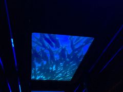 -海洋公园海洋列车－海滨站