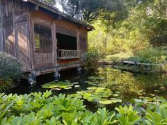 -深圳国际园林花卉博览园