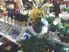 -BHG Market Place(水游城店)