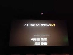 -金逸影城(中关村店)