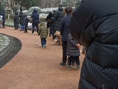 -万科·金域曲江