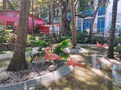 -三亚蜈支洲岛旅游区