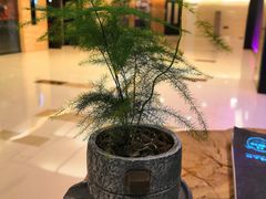-王家渡火锅(金宝汇店)