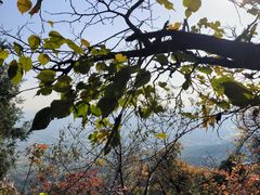 -北京西山国家森林公园