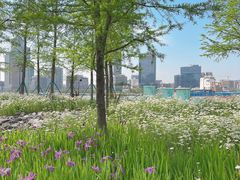 -北外滩滨江绿地