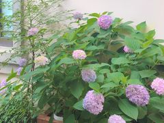 -也枫·小黄楼(南山路旗舰店)