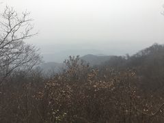 -紫金山天文台