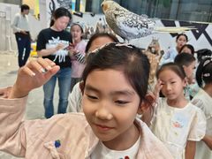 -中国宋庆龄青少年科技文化交流中心