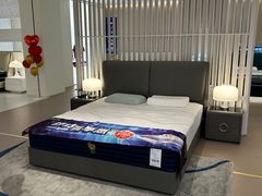 -红星美凯龙(上海沪南店)
