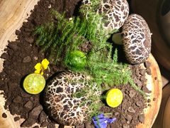 -绿茶餐厅(领展购物广场·中关村店)