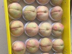 -老袁家蜜桃农场·阳山水蜜桃