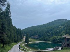 -武陵山森林公园