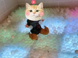 -幻贝家儿童乐园(苏州中心店)