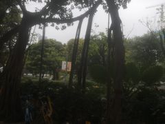 -光明港公园
