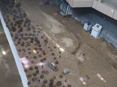 -元代水闸遗址博物馆