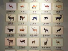 -北京麋鹿生态实验中心