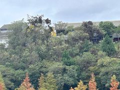 -仙海旅游度假区