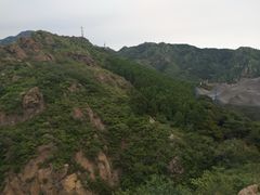 -燕塞湖鸟语林景区