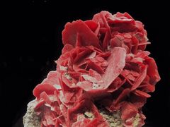 -湖南省地质博物馆