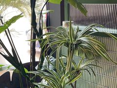 -椰小鸡·琼州糟粕醋·火锅(美兰缤纷城店)